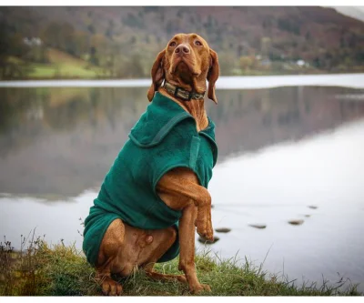 Замечательный халат для собак на открытом воздухе с индивидуальным логотипом, сушильный халат из микрофибры для полотенца для собаки с эффектом суперпоглощения
